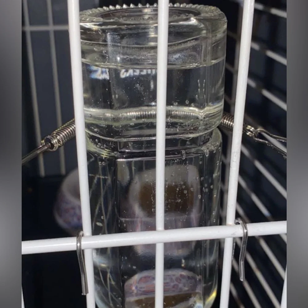 Water bottle feeder
